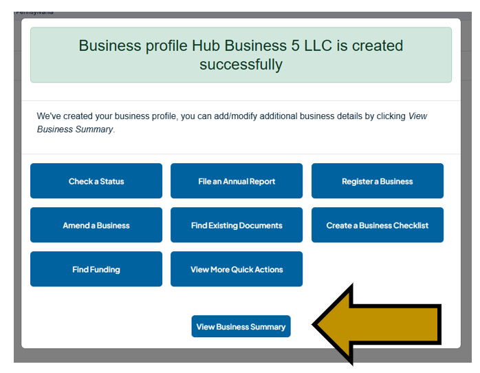 Arrow pointing to the View Business Summary button in the Add Business Profile section of the Business Hub.